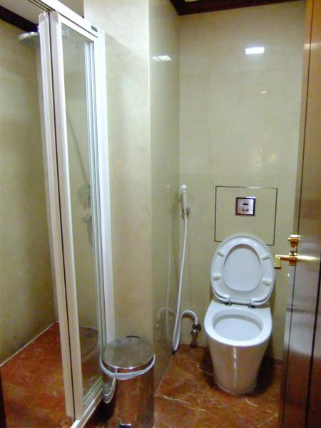 DSCF9681 (Medium).JPG